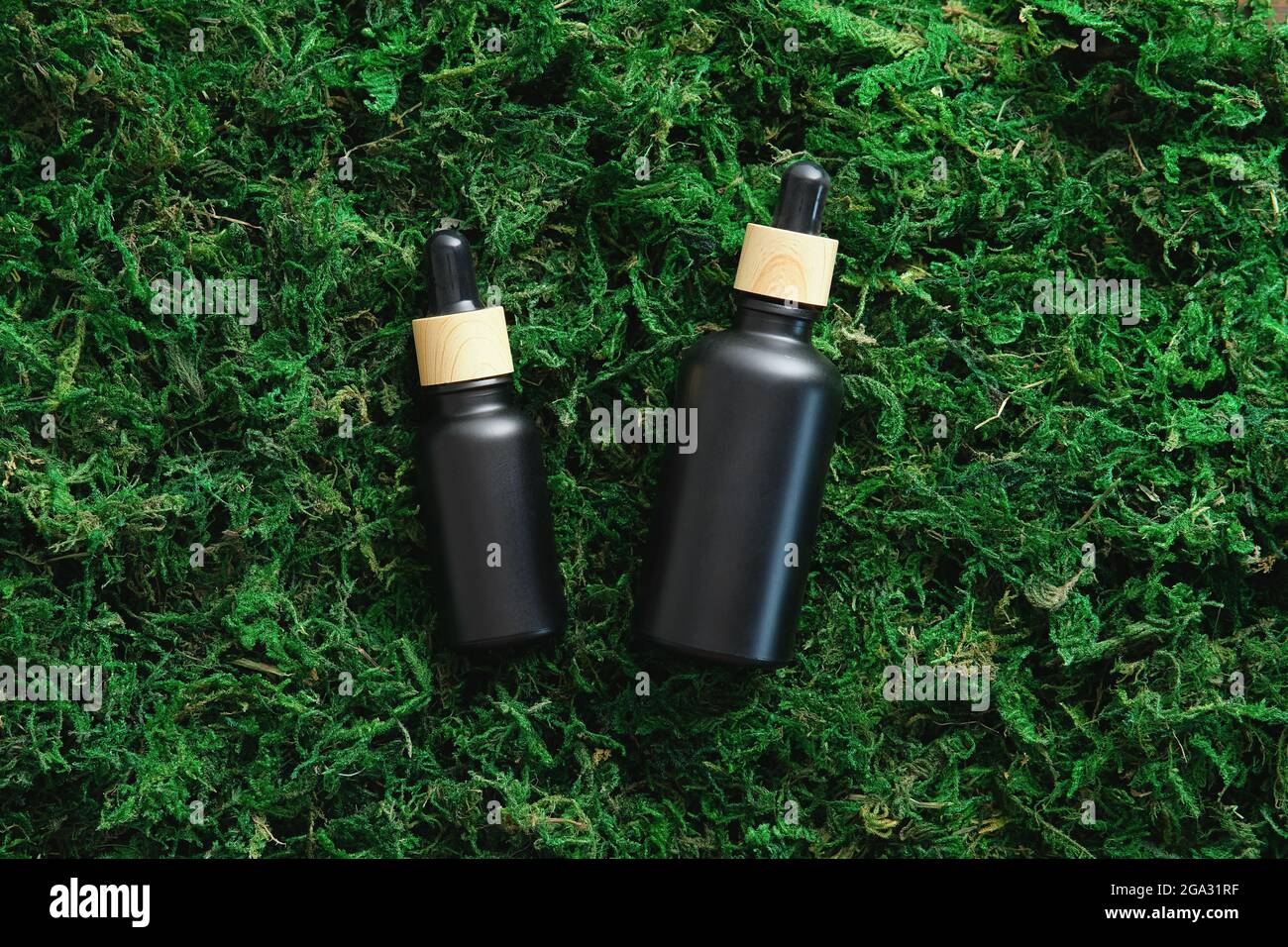 Bottiglie nere contagocce su fondo muschio nella foresta. Cosmetici  naturali eco-friendly branding, packaging design Foto stock - Alamy