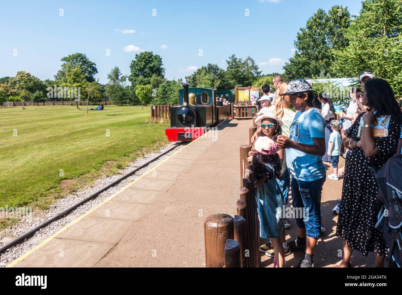 Safari Park, attività in treno per i bambini Foto Stock