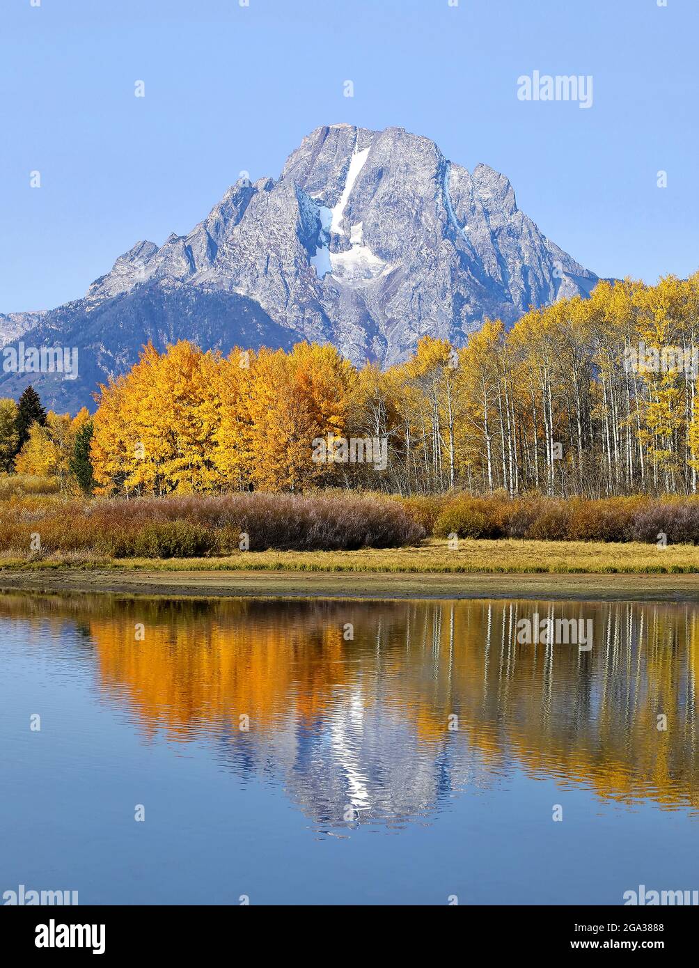 Vegetazione dorata sugli alberi e l'aspra cima di montagna del Monte Moran contro un cielo blu brillante riflesso in acque tranquille nel Parco Nazionale del Grand Teton Foto Stock
