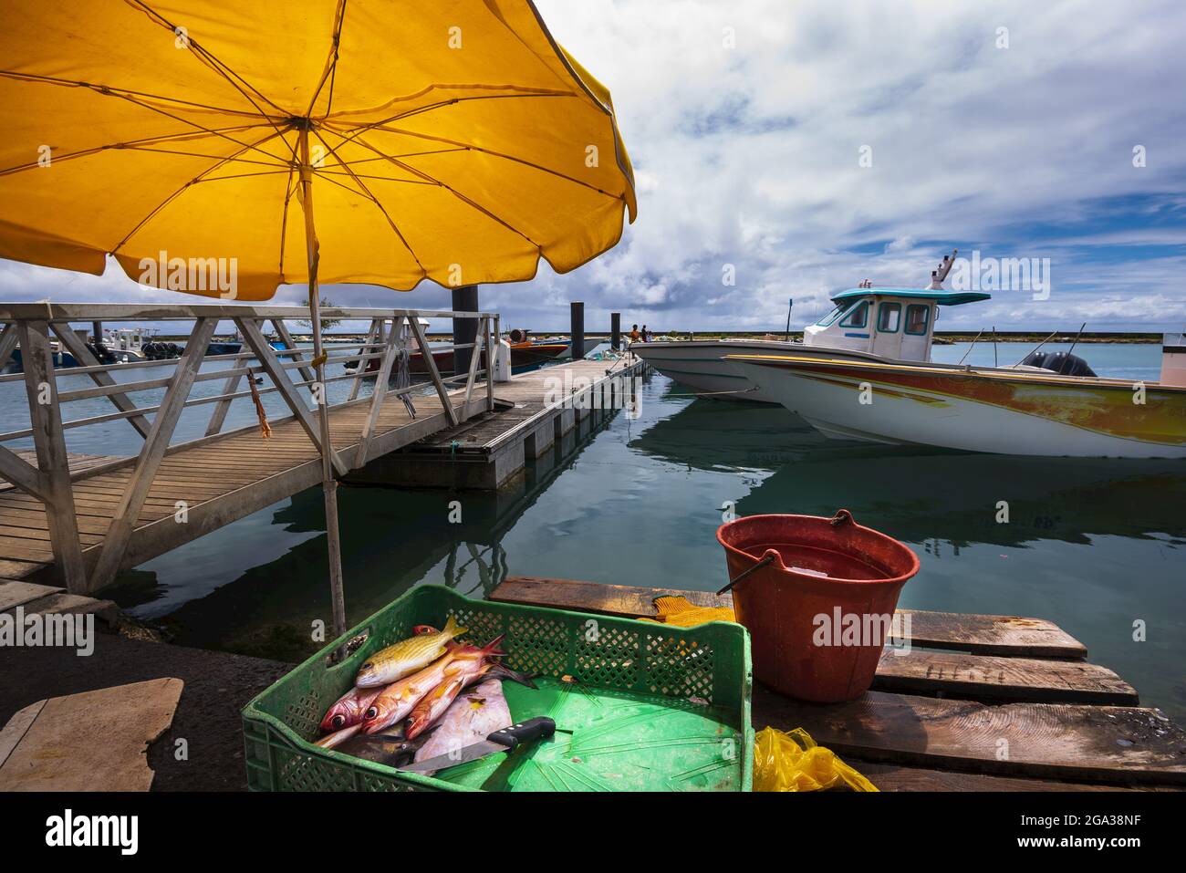 Pesce fresco pescato per i venditori di pesce a Point-A-Pitre, in Grande-Terre, Guadalupa, Antille francesi; Grande-Terre, Guadalupa, Francia Foto Stock