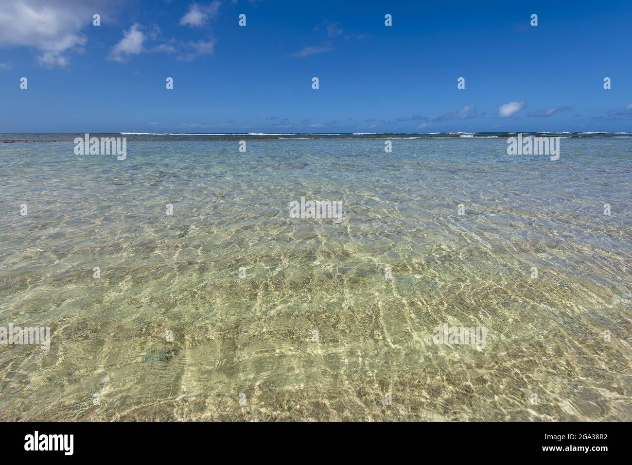Acque cristalline al largo della Guadalupa, Antille francesi; Guadalupa, Antille, Francia Foto Stock