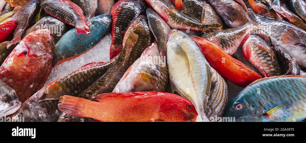 Pesce fresco in ghiaccio sul mercato del pesce, Guadalupa, Antille francesi; Pointe-A-Pitre, Grand-Terre; Guadalupa, Francia Foto Stock