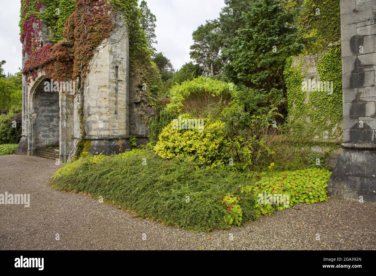 Ivy e il verde coprono le rovine del Castello Armadale, ex casa della famiglia MacDonald ad Armadale, Scozia; Armadale, Isola di Skye, Scozia Foto Stock