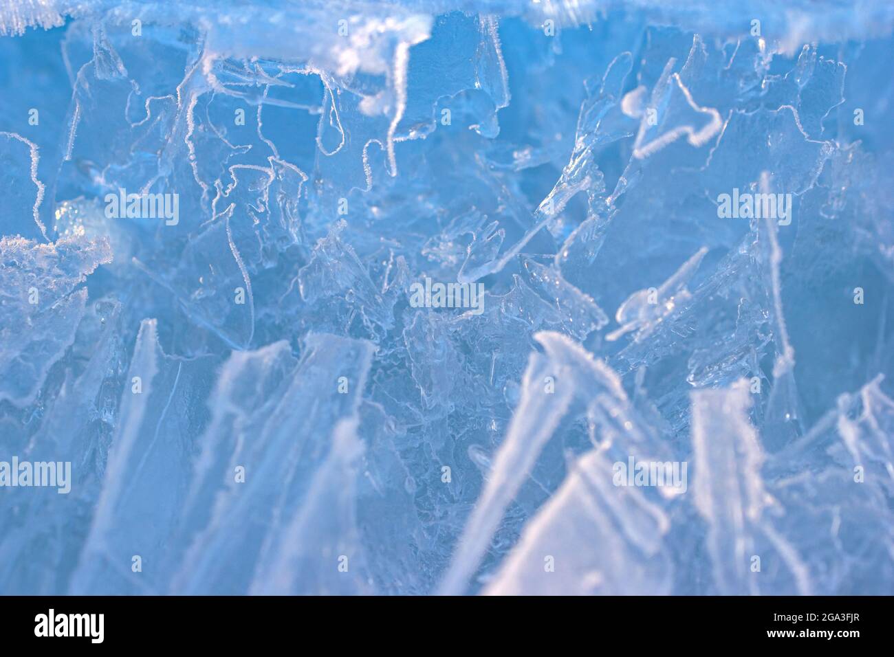 Fresco sfondo blu di cristalli di ghiaccio congelato. Foto Stock