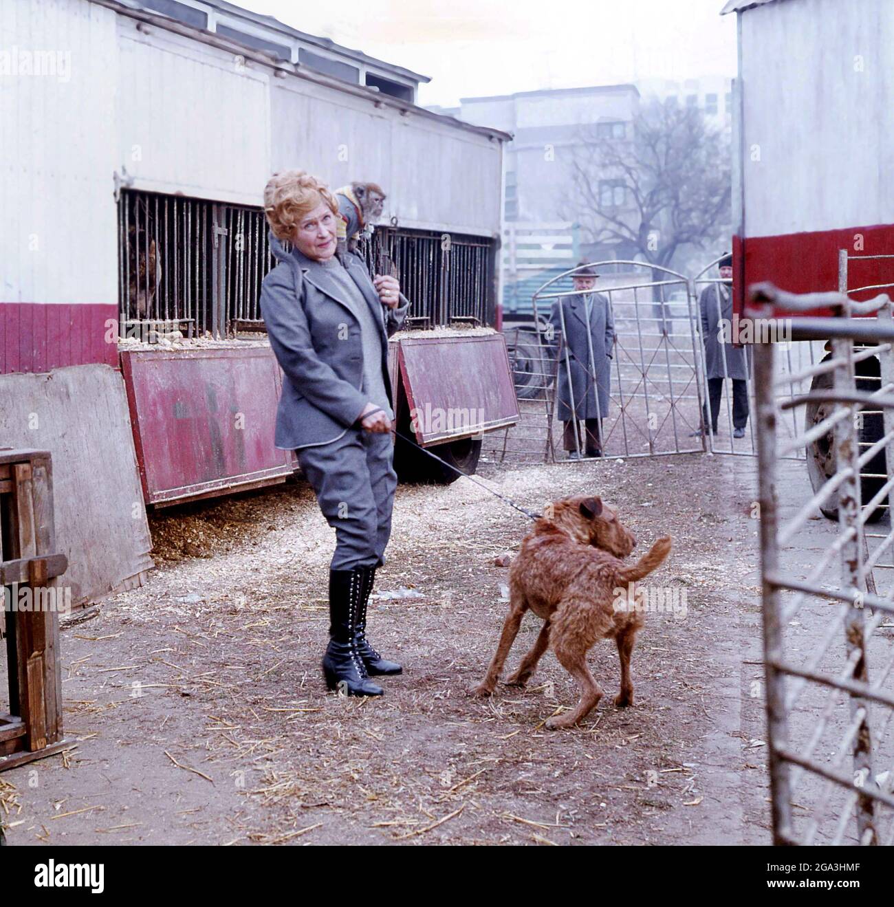 Attrice e manomessa di animali Dina Mihalcea durante le riprese del film 'Mihail, câine de circa', 1979 Foto Stock