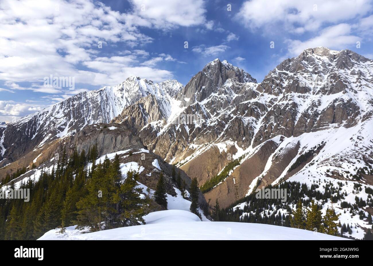 Paesaggio panoramico della primavera nelle Montagne Rocciose canadesi con le vette innevate della catena montuosa Opal nella contea di Kananaskis, Alberta Foto Stock
