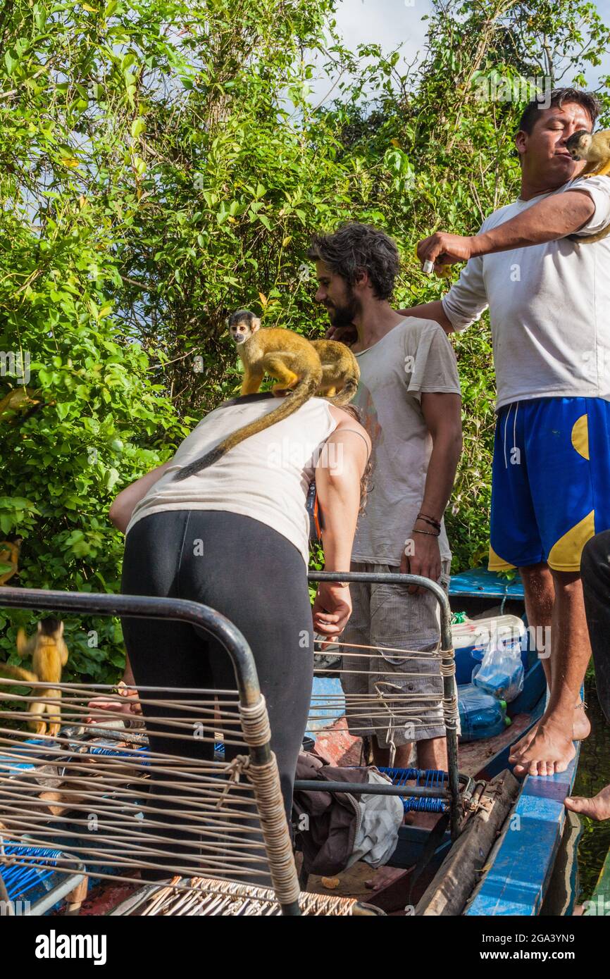 YACUMA, BOLIVIA - 4 MAGGIO 2015: I turisti giocano con le scimmie scoiattolo durante una gita in barca sul fiume Yacuma, Bolivia Foto Stock