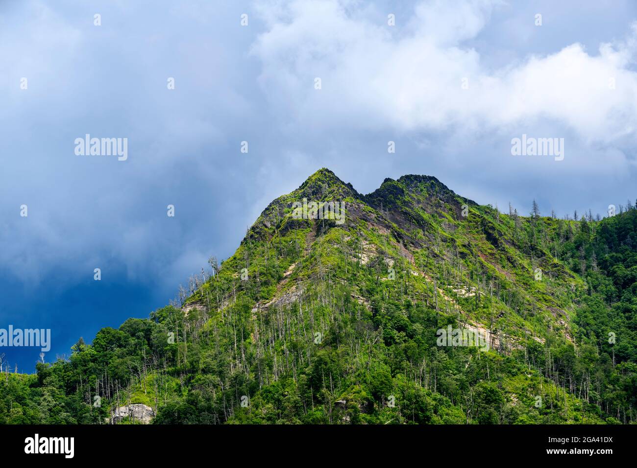 Chimney Tops, Great Smoky Mountains National Park, Tennessee Foto Stock