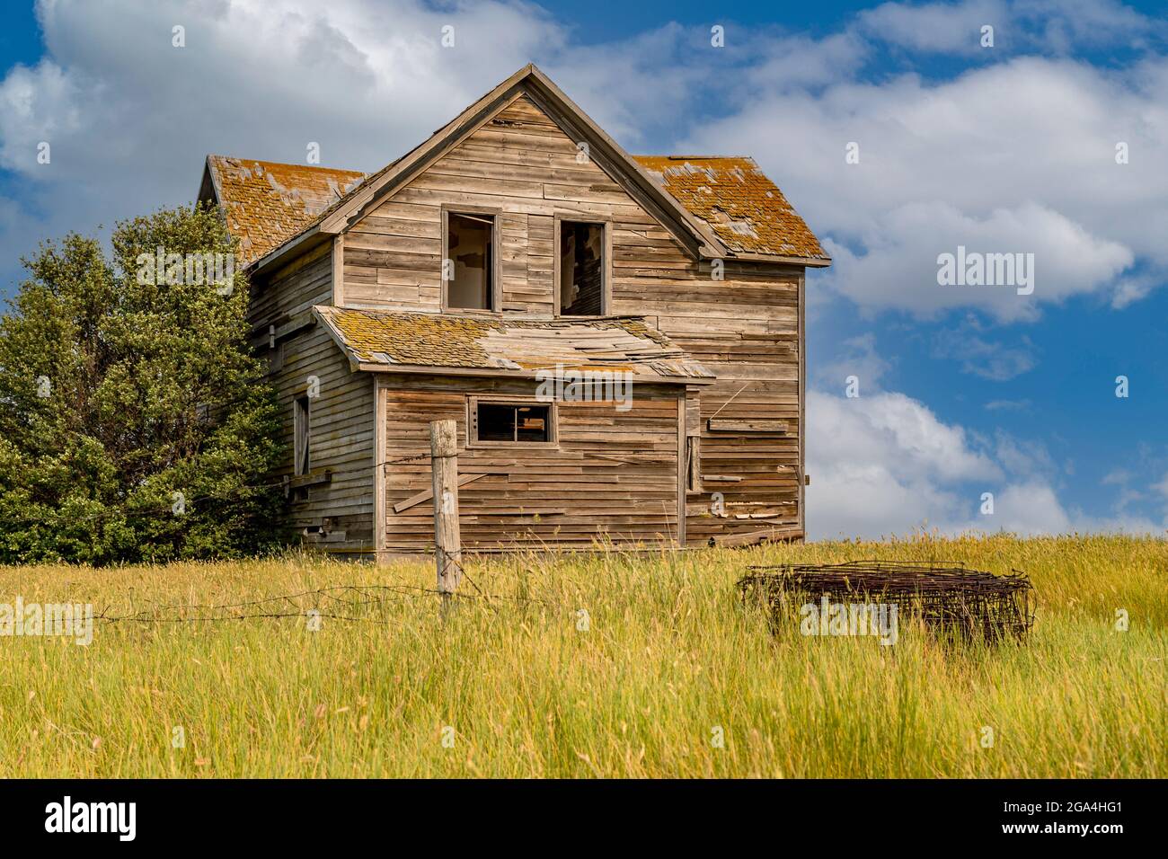 Casa abbandonata in un cortile vicino a Cabri, Saskatchewan Foto Stock