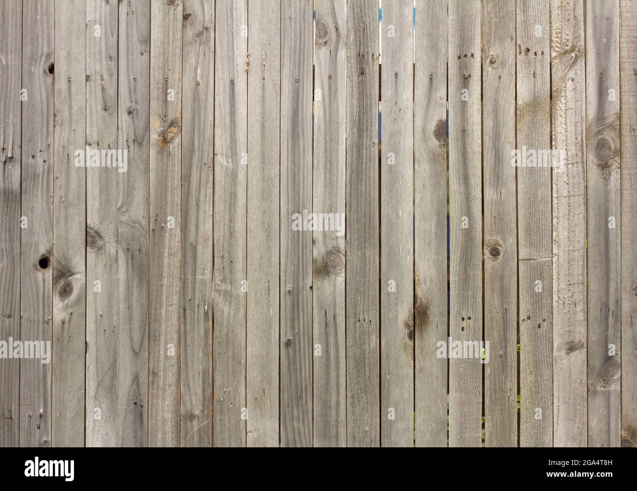 Legno background. Un vecchio recinto di legno fatto di tavole non dipinte con crepe e chiodi Foto Stock