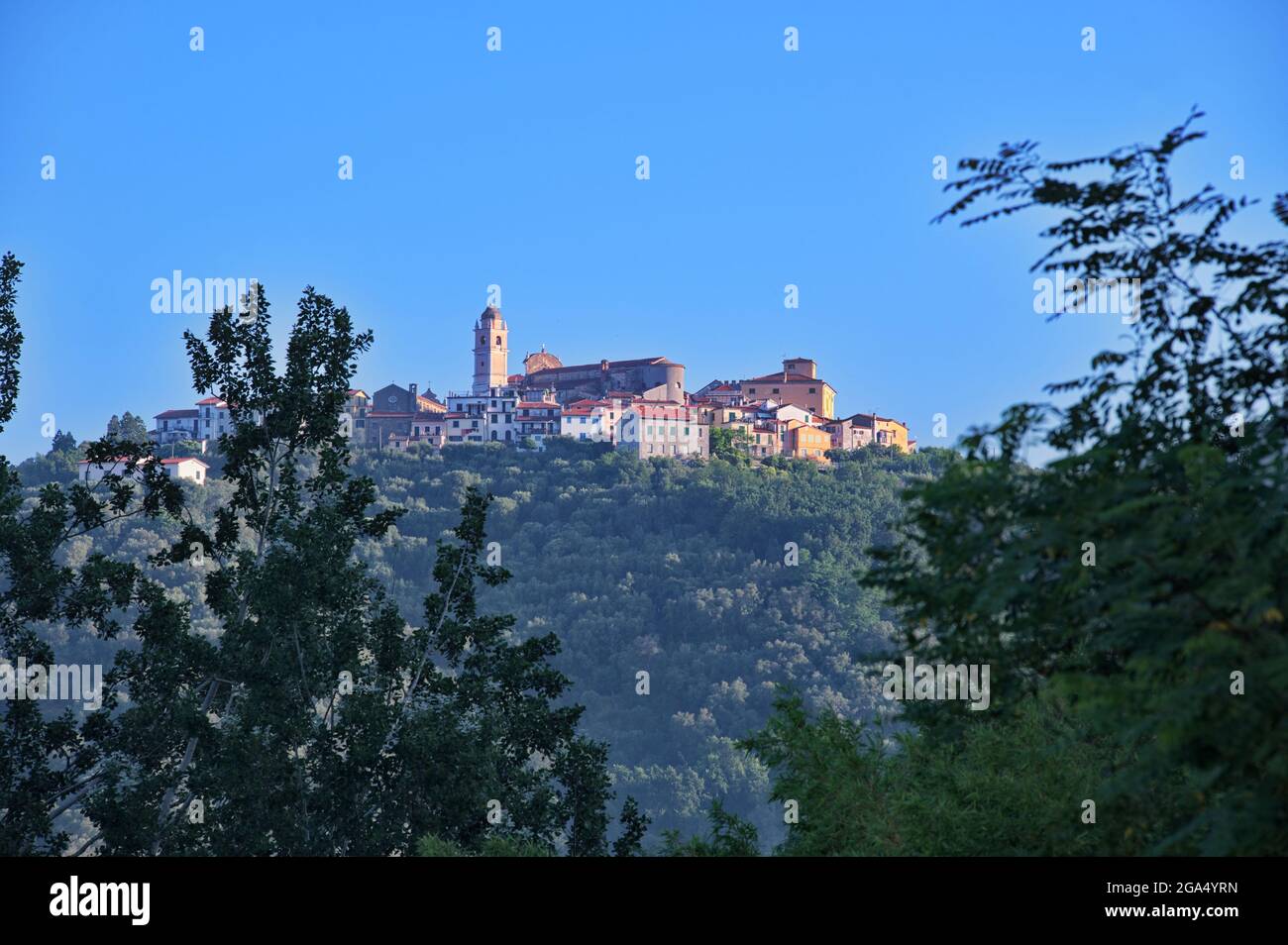 Città mediterranea in cima alla collina attraverso i rami Foto Stock