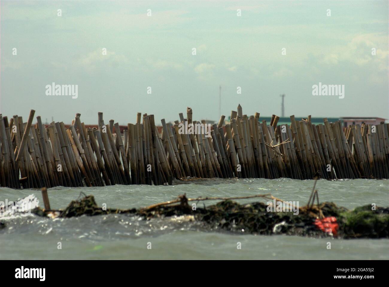 Pali di bambù sulle acque costiere vicino all'estuario del canale delle inondazioni di Giacarta, da utilizzare per la bonifica del terreno. Una vista verso Giacarta dalle acque costiere di Bekasi, Giava Occidentale, Indonesia. Foto Stock