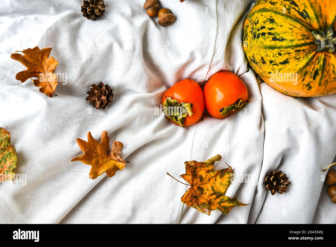 Zucca su fondo bianco vestiti. Vendemmia autunnale. Spazio di copia. Persimmons e foglie. Sfondo autunno Foto Stock