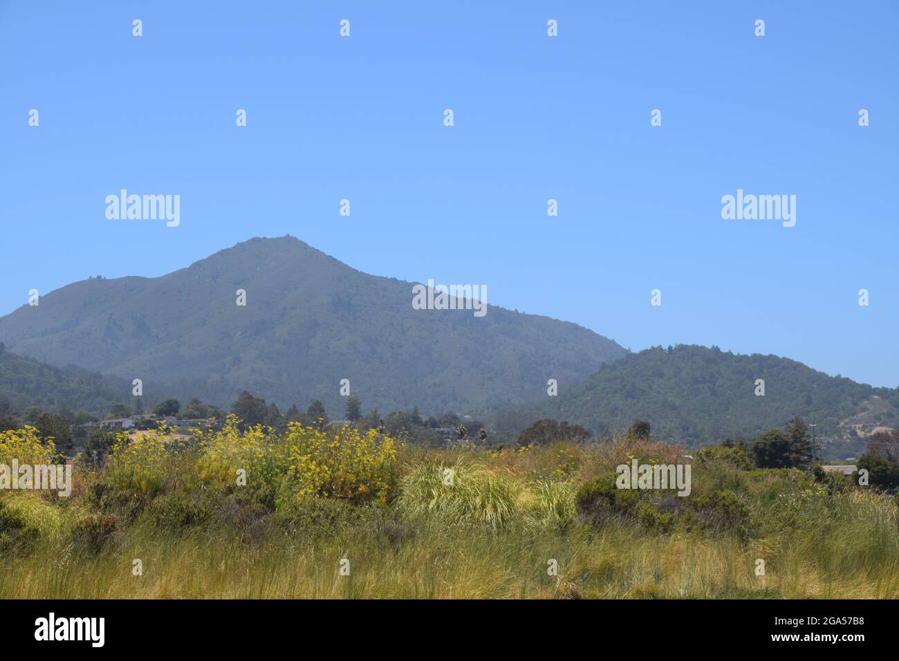 Una vista del paesaggio nella contea di Marin, California Foto Stock