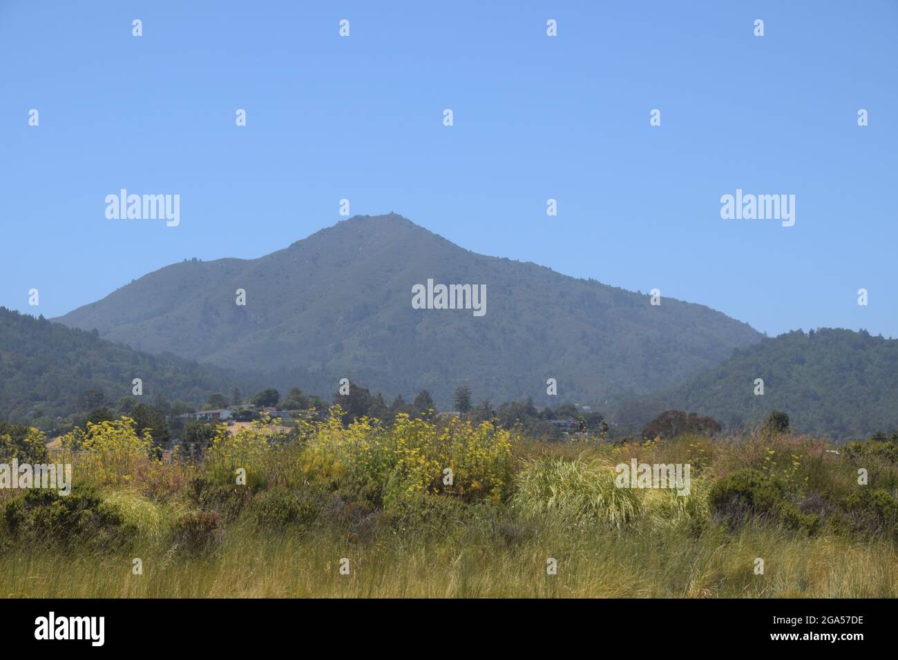 Una vista del paesaggio nella contea di Marin, California Foto Stock