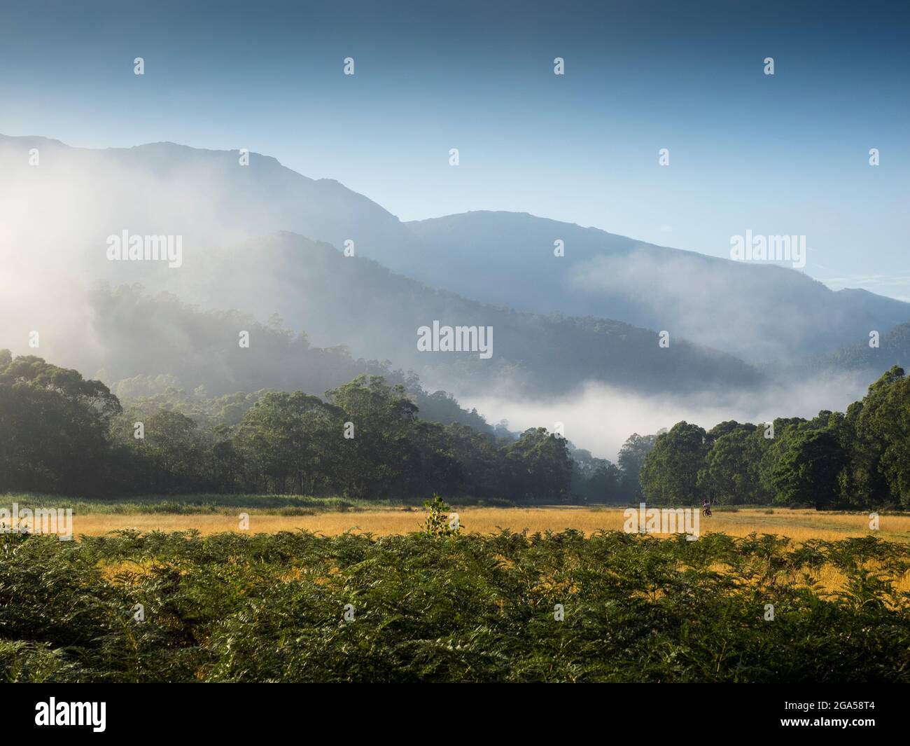 La gamma principale da Geehi Flats, Kosciuszko National Park, New South Wales, Australia Foto Stock