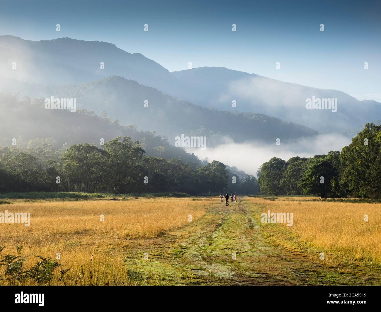 La gamma principale da Geehi Flats, Kosciuszko National Park, New South Wales, Australia Foto Stock