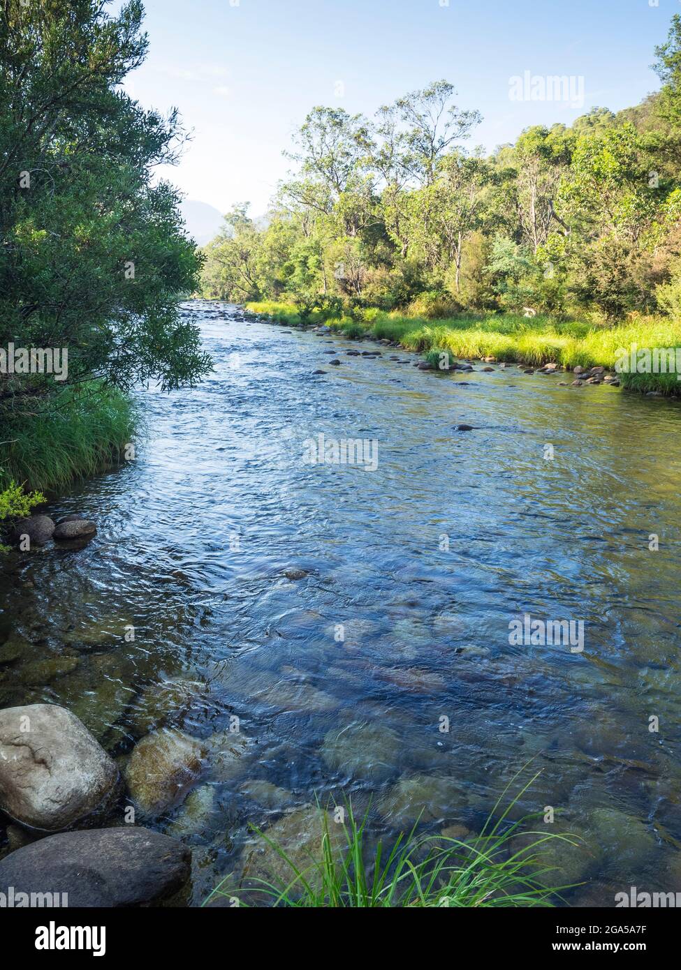 Swampy Plains River, Geehi Flats, Kosciuszko National Park, New South Wales, Australia Foto Stock