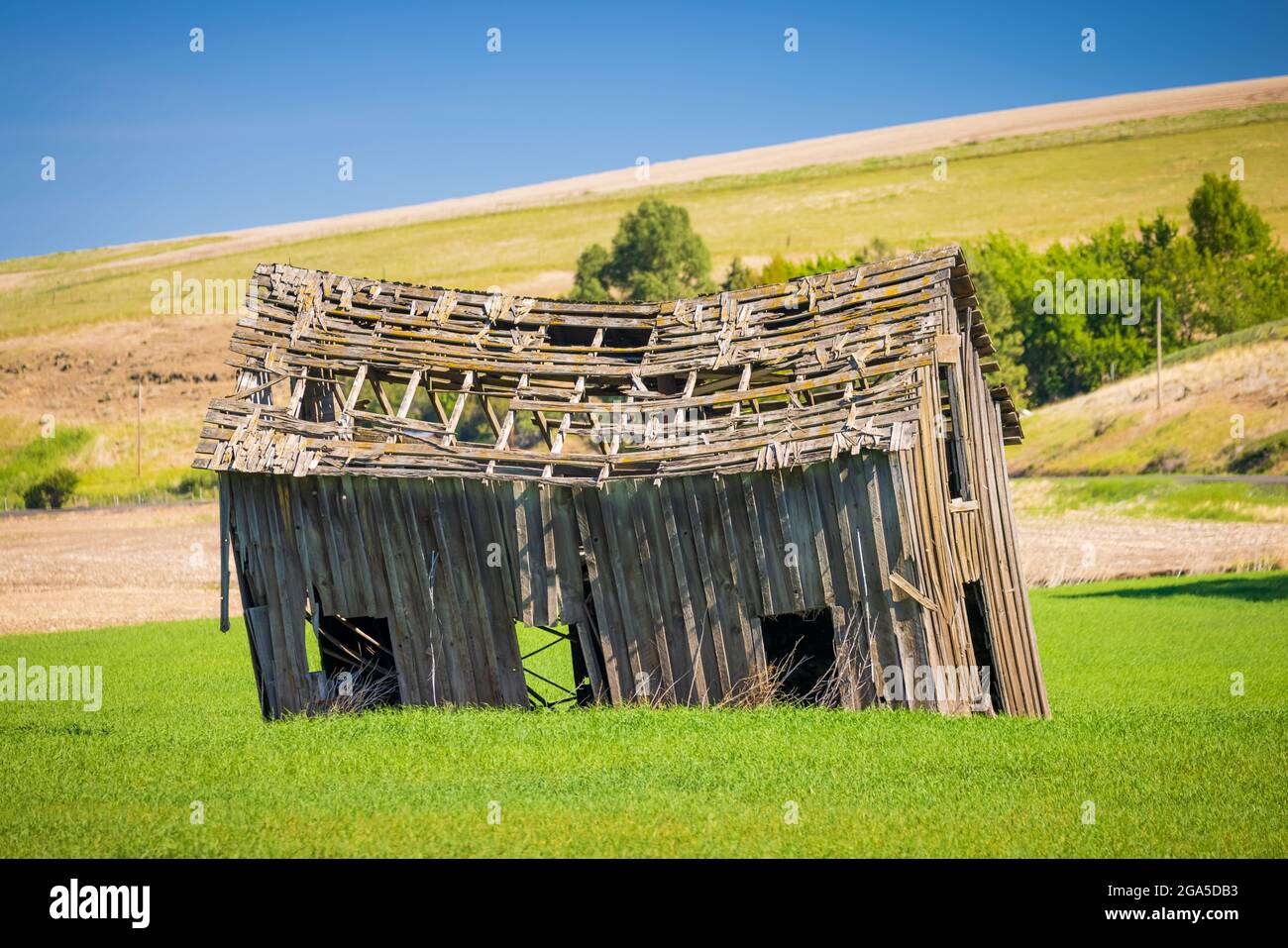 Edificio fienile dilapido nella zona agricola Palouse dello stato orientale di Washington. Foto Stock