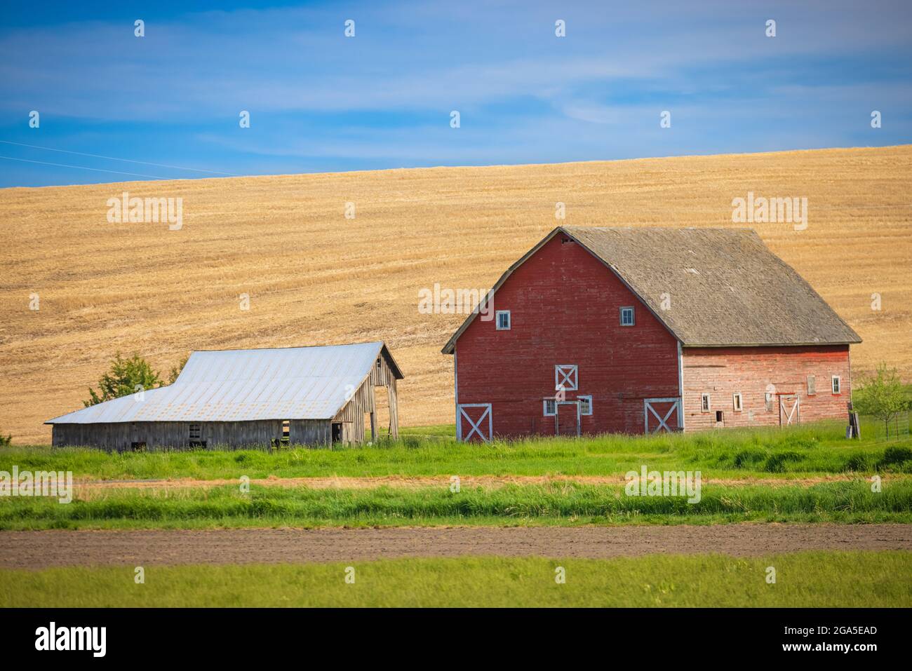 Fienile antico edificio nel settore agricolo area Palouse dello stato di Washington orientale. Foto Stock