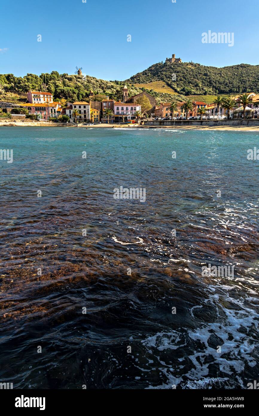 Vista della spiaggia e forte di Collioure, Pirenei Orientali, Francia. Foto Stock