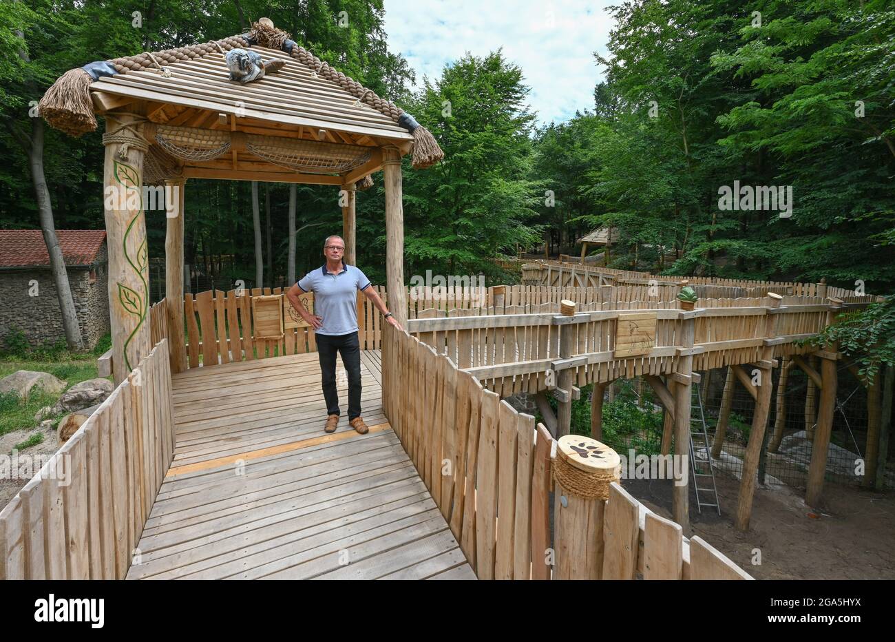 Eberswalde, Germania. 28 Giugno 2021. Bernd Hensch, direttore dello zoo di Eberswalde, si trova sul nuovo percorso di avventura in legno in alto sopra le recinzioni degli animali. I visitatori dello zoo di Eberswalde possono ora camminare sopra le teste di lupi e daini. Un percorso avventura in legno lungo 200 metri ad alture vertiginose offre nuove informazioni sulle recinzioni ed è destinato a costruire un ponte per la città. Ci sono voluti 13 anni dall'idea all'attuazione. Credit: Patrick Pleul/dpa-Zentralbild/ZB/dpa/Alamy Live News Foto Stock