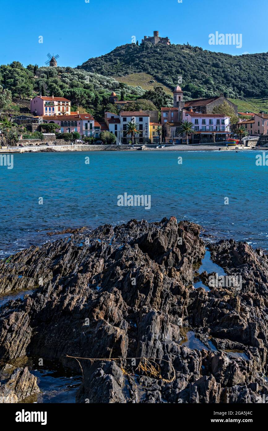 Vista della spiaggia e forte di Collioure, Pirenei Orientali, Francia. Foto Stock