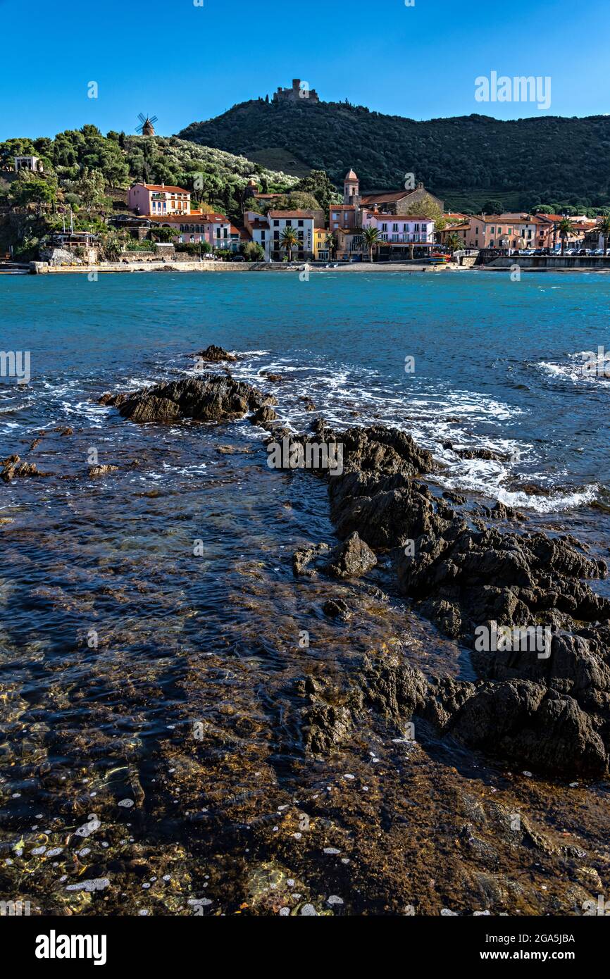 Vista della spiaggia e forte di Collioure, Pirenei Orientali, Francia. Foto Stock