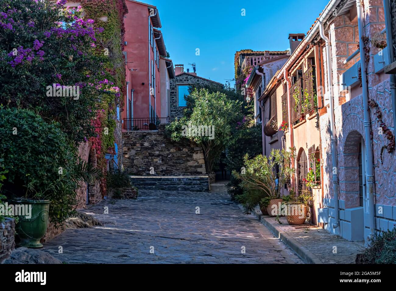 Strade nella città vecchia, Collioure, Pirenei Orientali, Linguadoca-Rossiglione, Francia. Foto Stock
