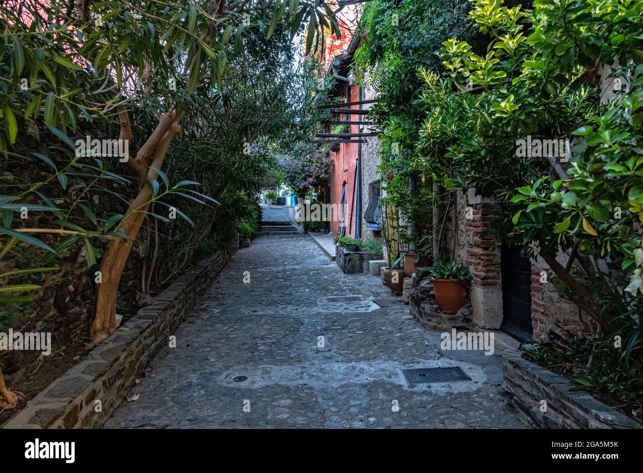Strade nella città vecchia, Collioure, Pirenei Orientali, Linguadoca-Rossiglione, Francia. Foto Stock