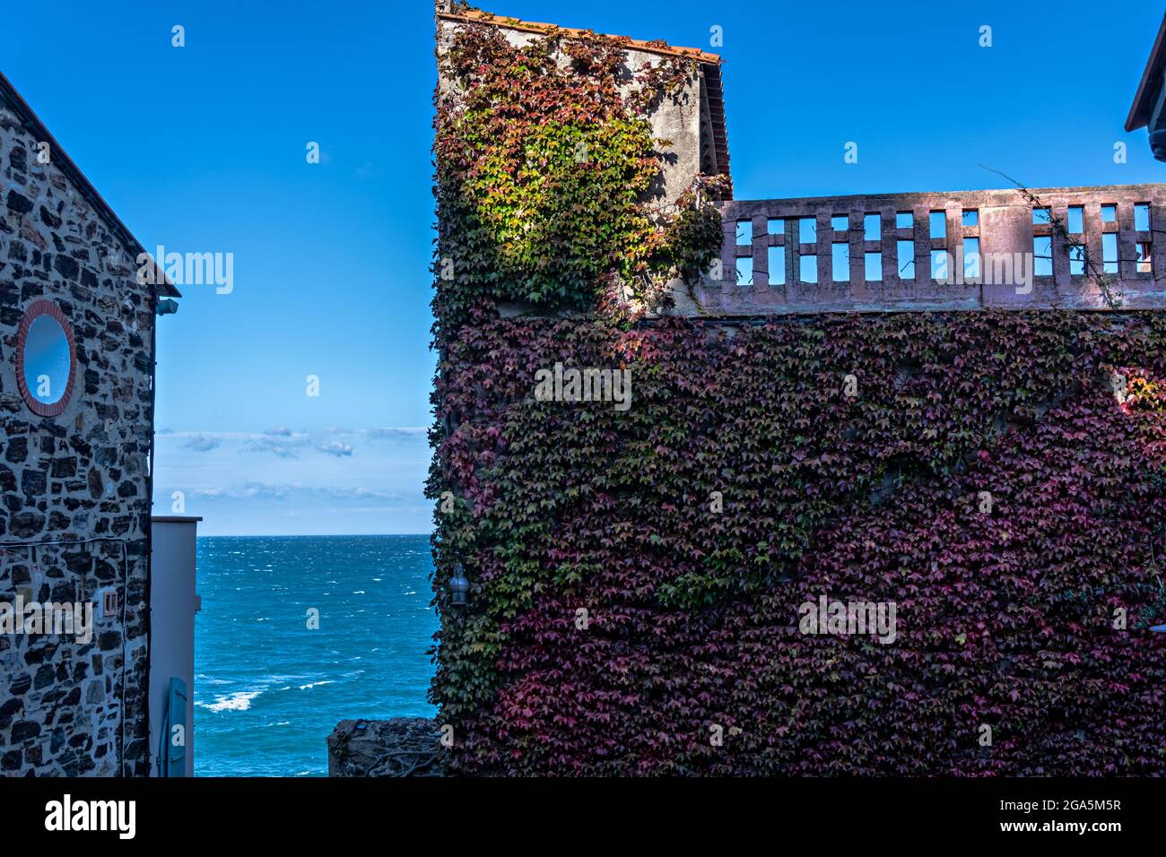 Strade nella città vecchia, Collioure, Pirenei Orientali, Linguadoca-Rossiglione, Francia. Foto Stock