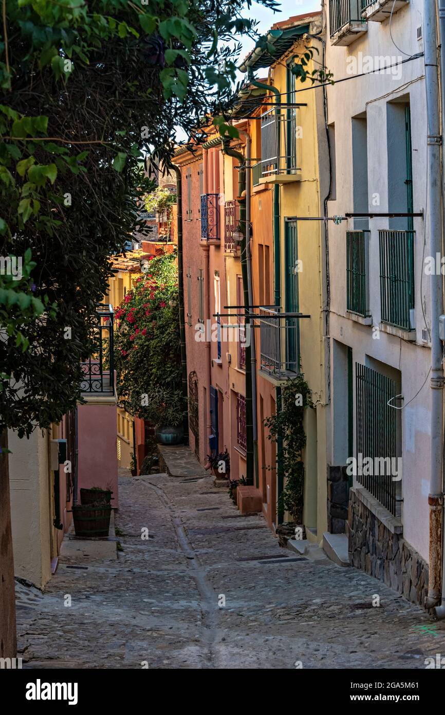 Strade nella città vecchia, Collioure, Pirenei Orientali, Linguadoca-Rossiglione, Francia. Foto Stock