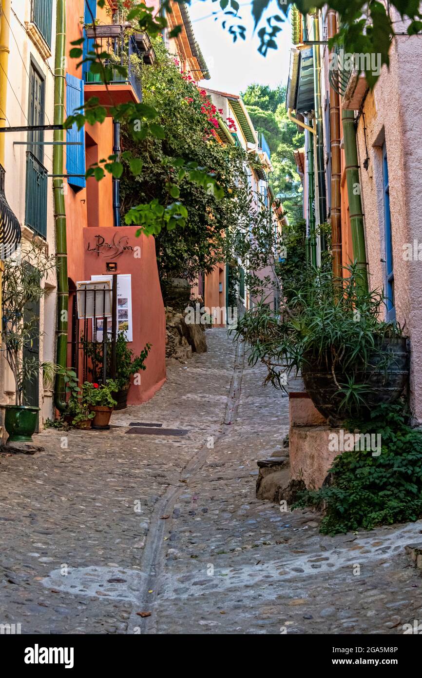 Strade nella città vecchia, Collioure, Pirenei Orientali, Linguadoca-Rossiglione, Francia. Foto Stock