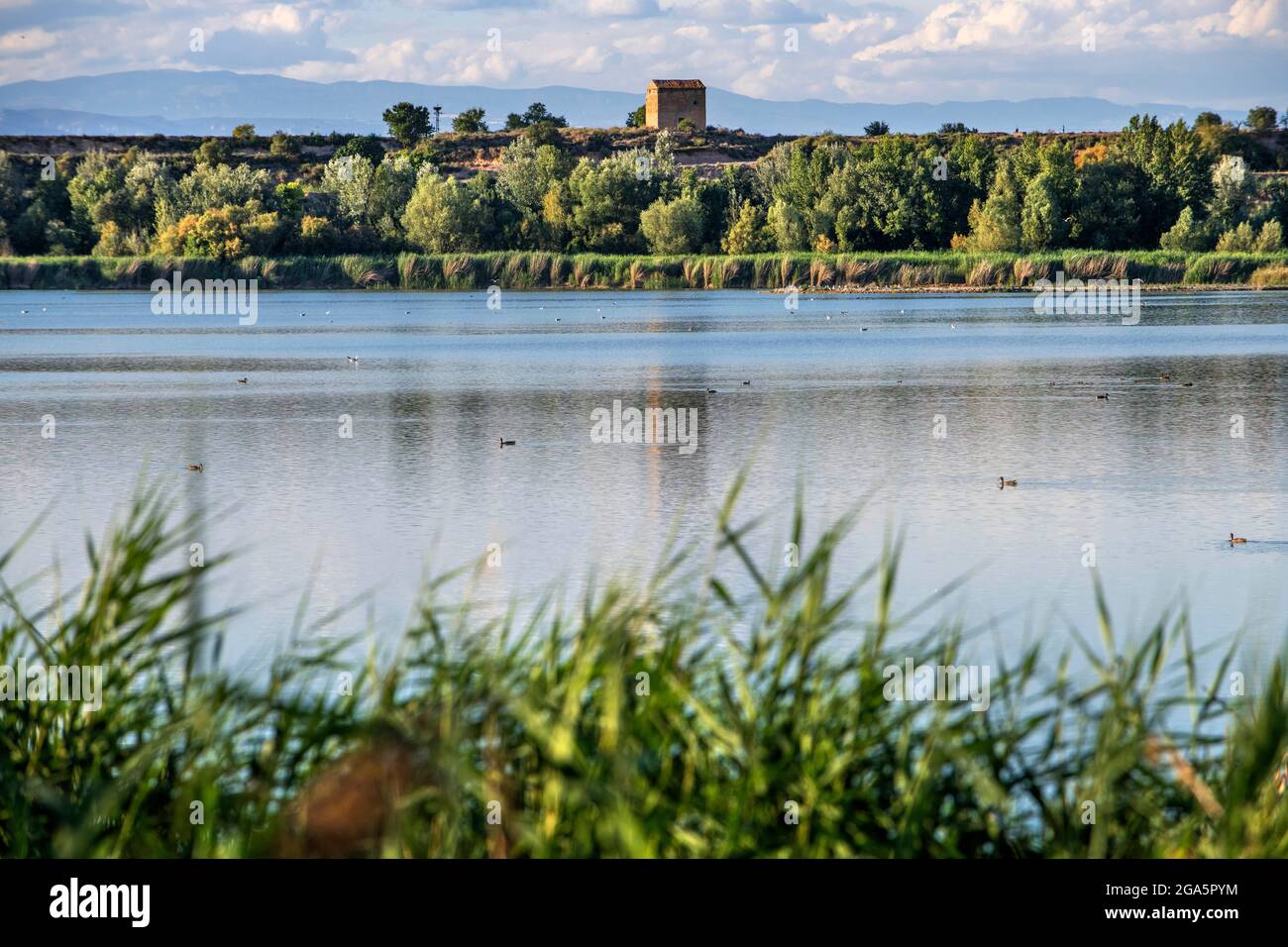 Paesaggio di Estany d´Ivars piccolo lago in Lleida Catalogna Spagna. Il lago Ivars e Vila-sana si trova tra i comuni di Ivars d'urge Foto Stock