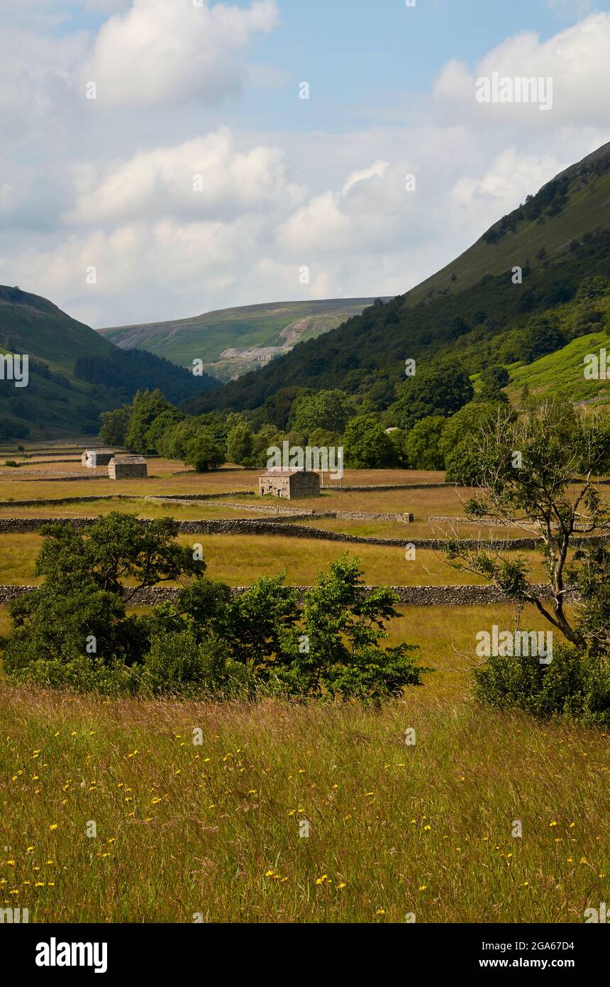 Colline, campane e pascoli, Muker, Swalledale (ritratto).100721 Foto Stock