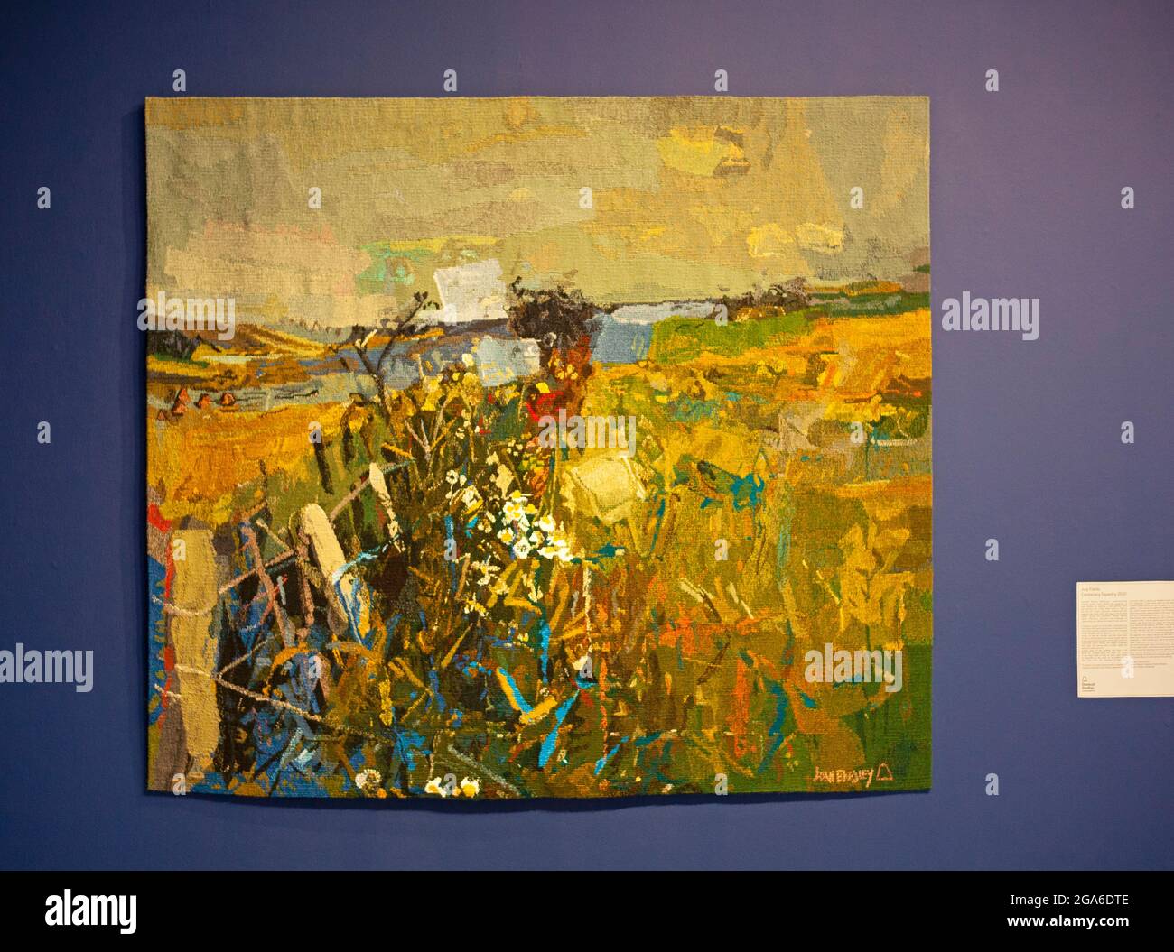 The Scottish Gallery, Edimburgo, Scozia. 29 luglio 2021. Joan Eardley i Centenario. Nei cinquantotto anni successivi al suo passaggio, dopo aver ceduto al cancro nell'agosto 1963, la sua reputazione è stata aumentata e oggi il suo valore è fortemente aumentato. Nella foto: Luglio campi Centenario Arazzo 2021. Lo studio di arazzi di Dovecot Studios ha segnato il centenario di Joan Eardley creando un nuovo arazzo dal dipinto Luglio Fields 1959. Credit: Arch White/Alamy Live News Foto Stock