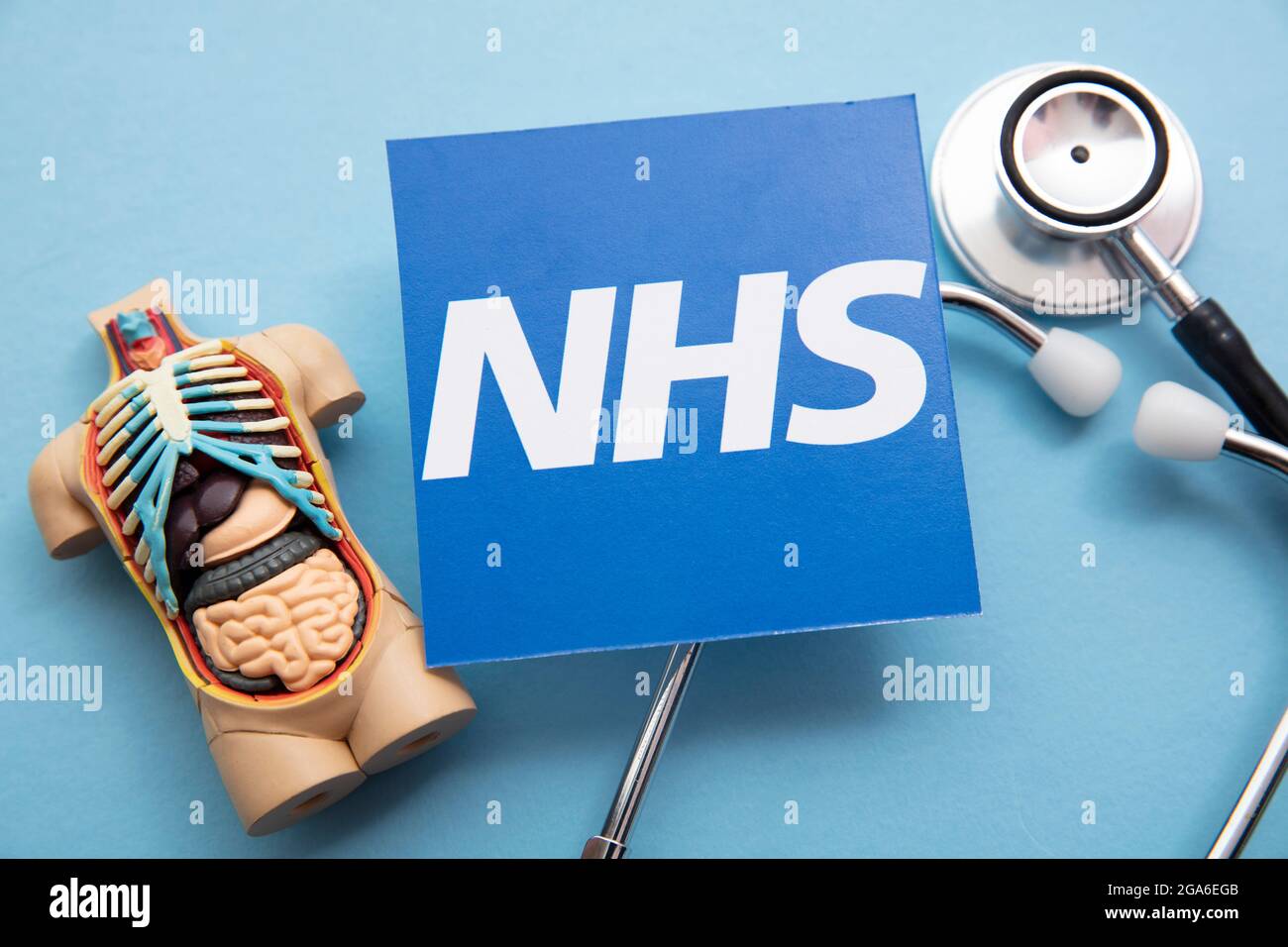 LONDRA, UK - Luglio 2021: Logo NHS National Health Service con modello anatomico Foto Stock