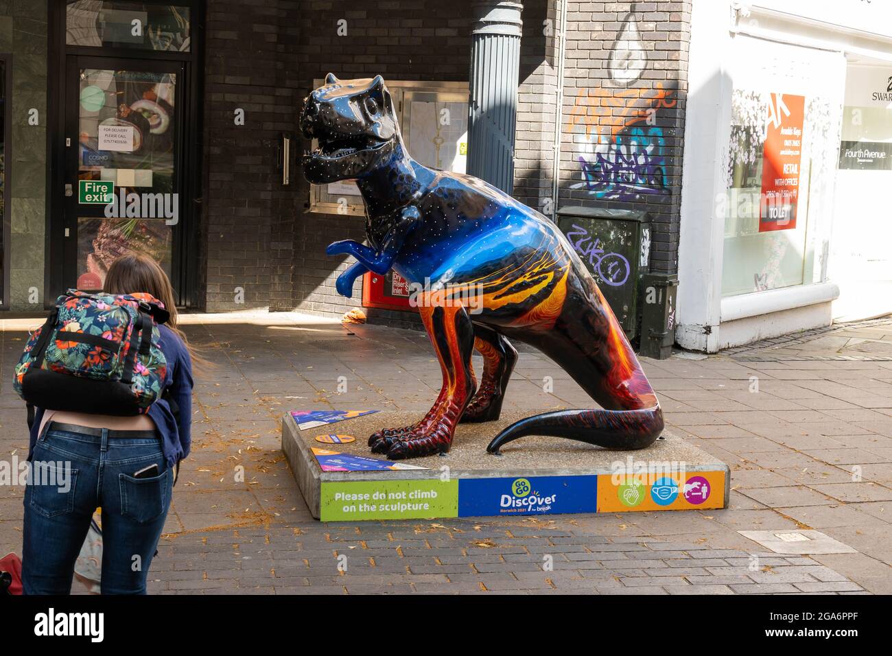 Dinosauro numero 13 dipinto da Hannah Nelson e sponsorizzato da Dipples in London Street Norwich City. Foto Stock