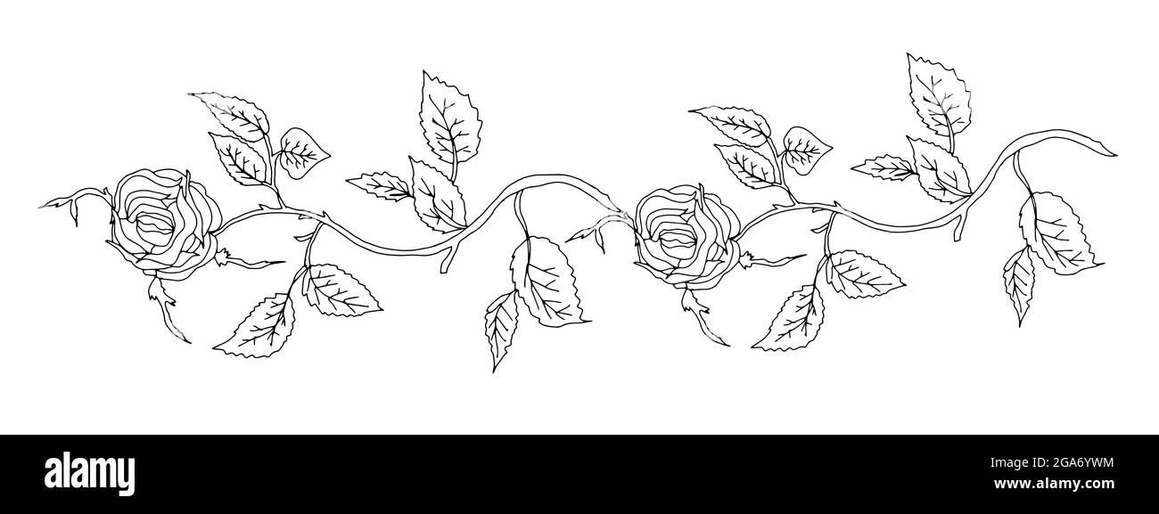 Natura, lline rosa, design, illustrazione modello Foto Stock