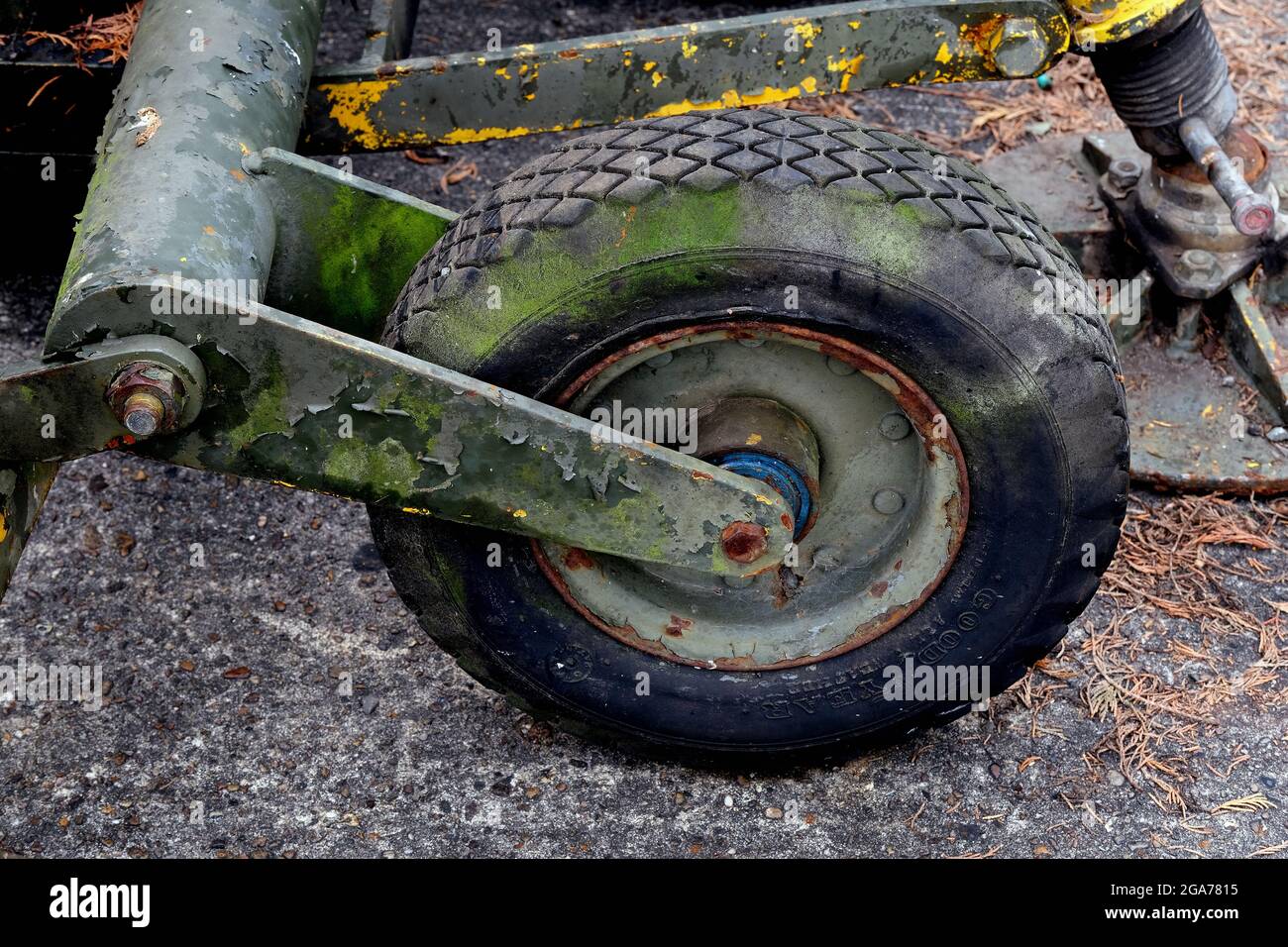 Vecchio pneumatico in gomma su ruota con alghe verdi. Foto Stock