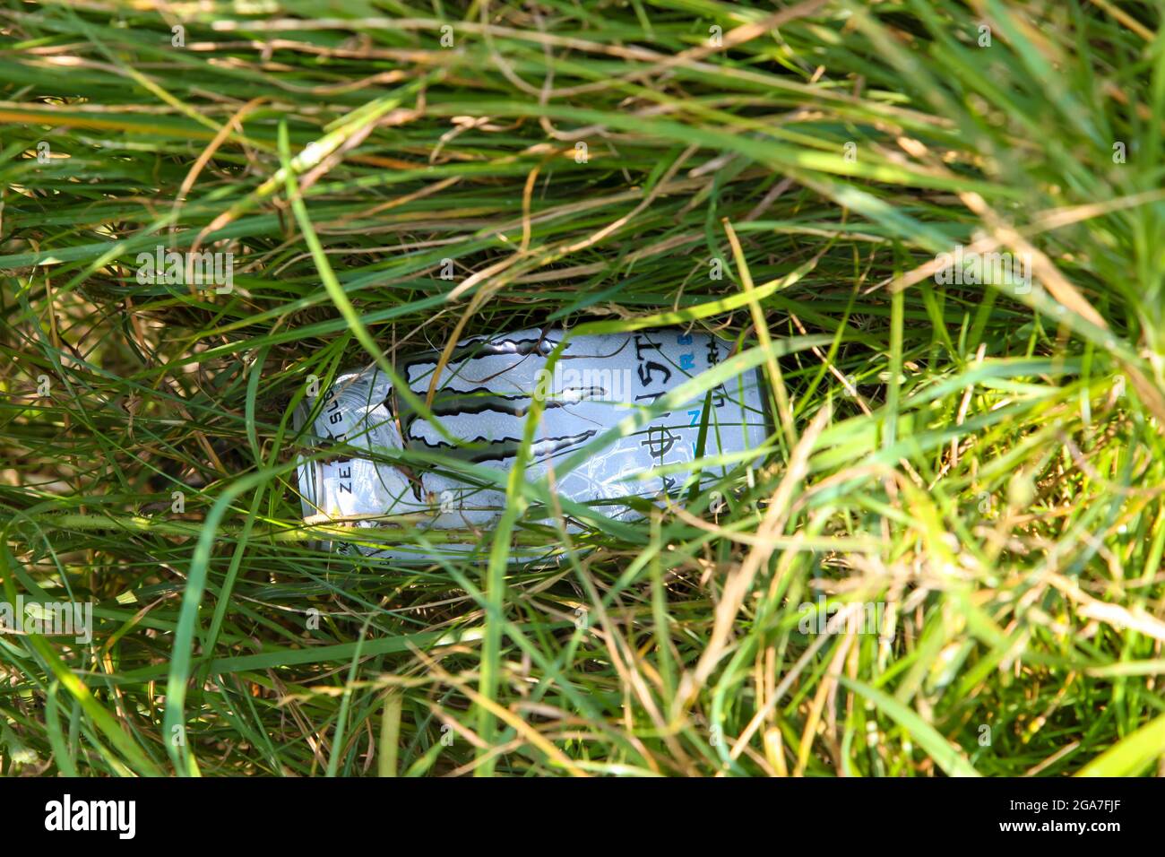 Scartato lattina di Monster Energy drink in campagna, Surrey, Inghilterra, UK, 2021 Foto Stock