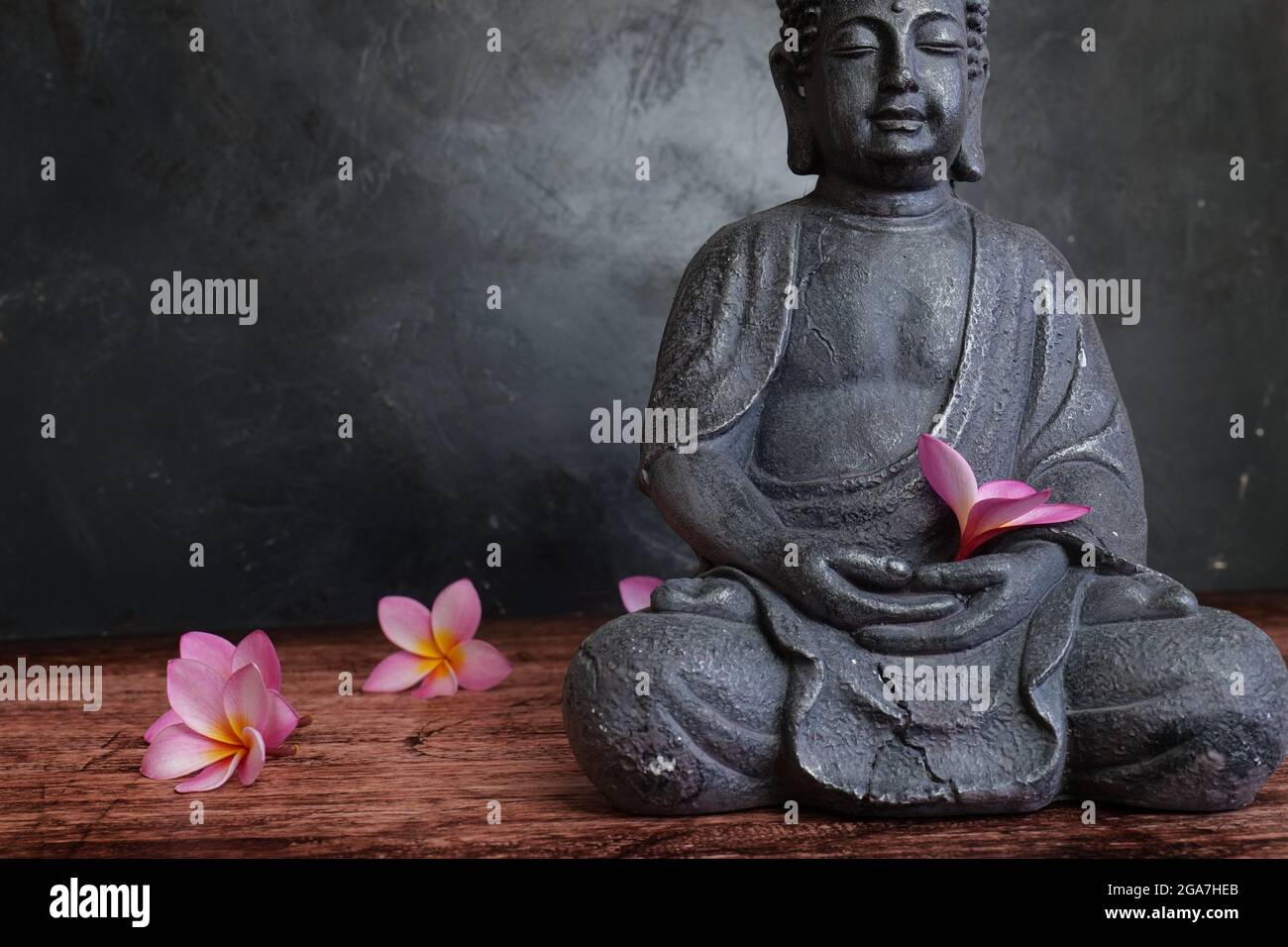 Statua di Buddha con fiori di frangipani su sfondo scuro Foto Stock