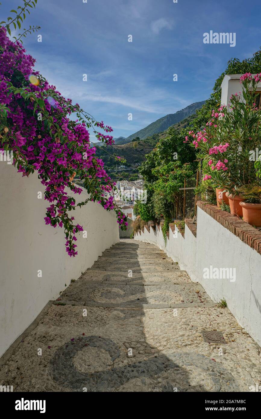 Vista di una strada in Frigiliana, pueblo blanco, tipico villaggio spagnolo architettura nella parte meridionale del paese Foto Stock