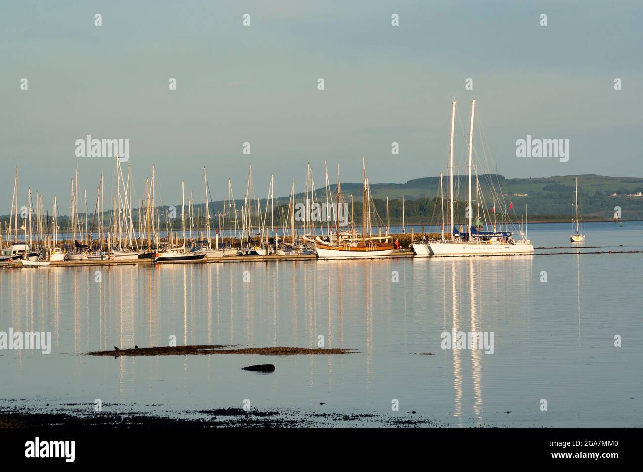 Barche a Rhu Marina sul Gareloch, Argyll, Scozia Foto Stock