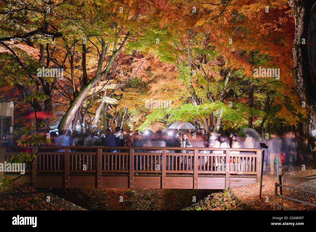 Stagione d'autunno colorata, fotografia di movimento nigth, Giappone Foto Stock