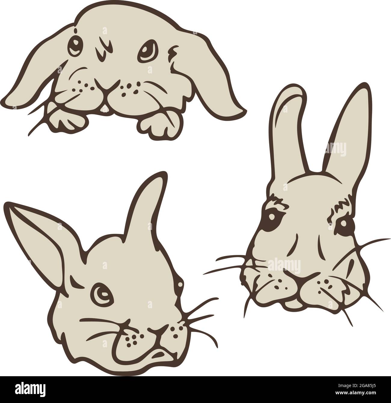 Illustrazione vettoriale con raccolta di facce di coniglio. Set di facce conigliate con disegno a mano. Illustrazione Vettoriale