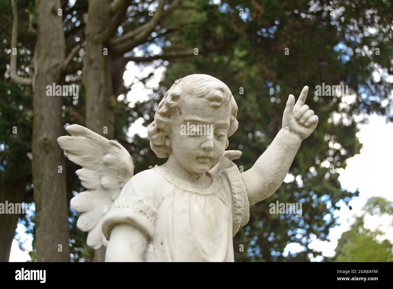 Un angelo ragazzo di pietra bianca, che punta il cielo con alberi sfondo vegetale. Guardando verso il basso. Foto Stock