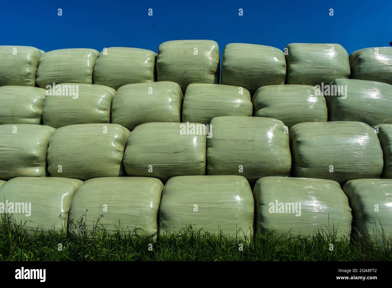 In magazzino per l'inverno Foto Stock