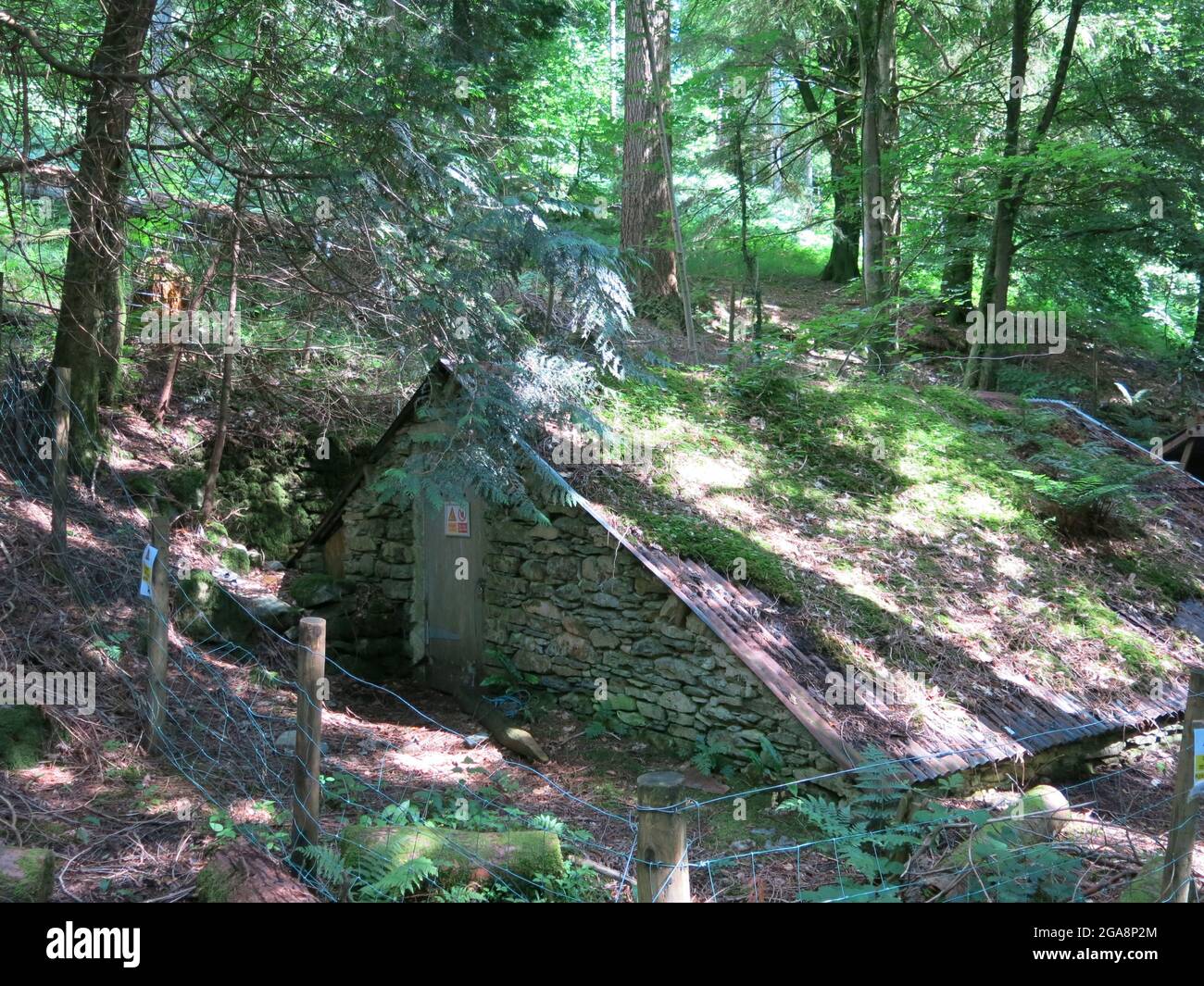 Sentieri tortuosi e luce del sole attanagliata attraverso gli alberi: Il giardino boscoso di Cubby Acland a Stagshaw, Ambleside, che si affaccia sul lago Windermere. Foto Stock