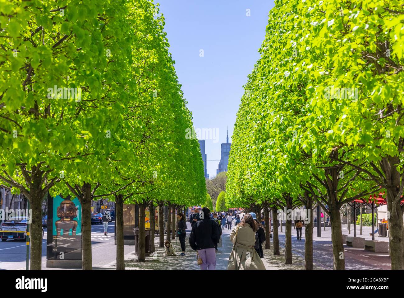 Persone intorno al Metropolitan Museum tra la pandemia di COVID-19 New York. Foto Stock